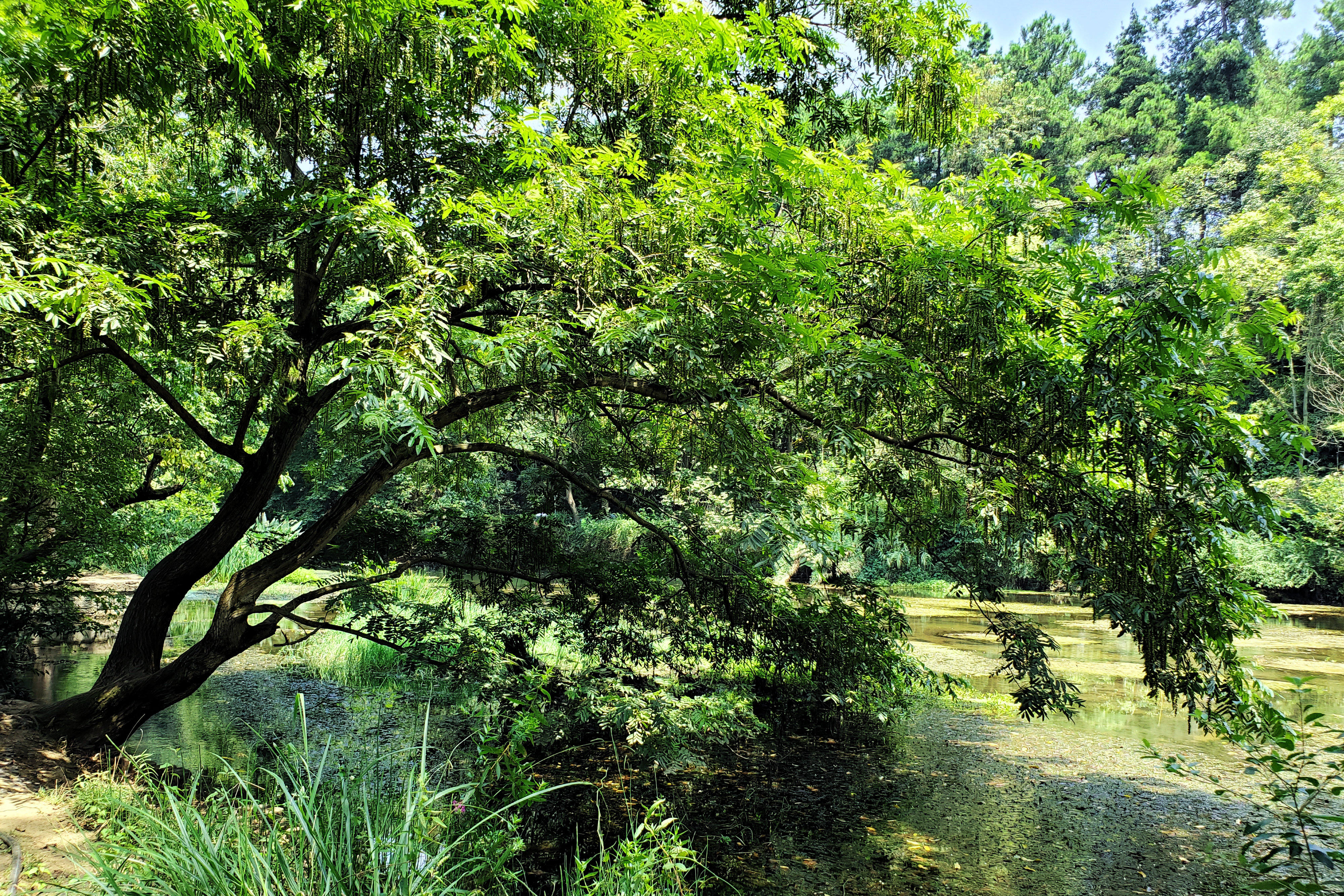 多彩贵州—爽爽的贵阳—阿哈湖国家湿地公园